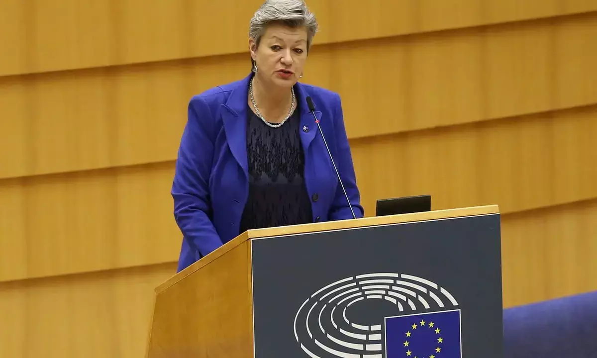 Migrant crisis clear on Belarus border – EU commissioner