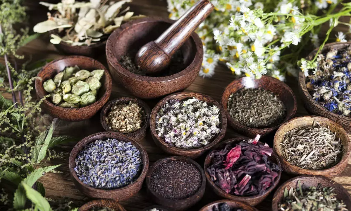 Infertility: Specialist lists benefits of traditional medicine