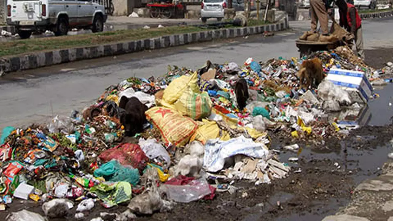 Indiscriminate dumping of refuse in Nigeria Indiscriminate dumping of refuse in Nigeria