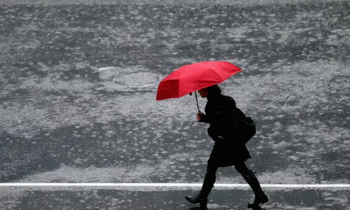 Wild weather hits South Island in New Zealand