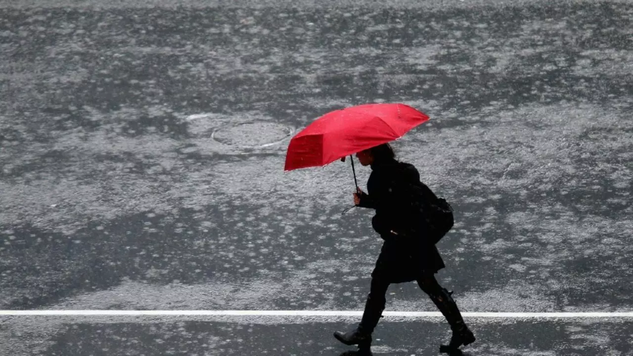 Wild weather hits South Island in New Zealand