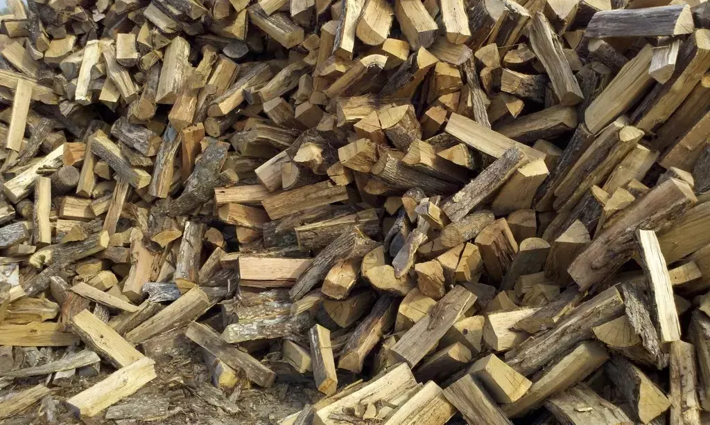 Growing firewood wholesale markets threat to dwindling forest eco-system- Prof. Madu