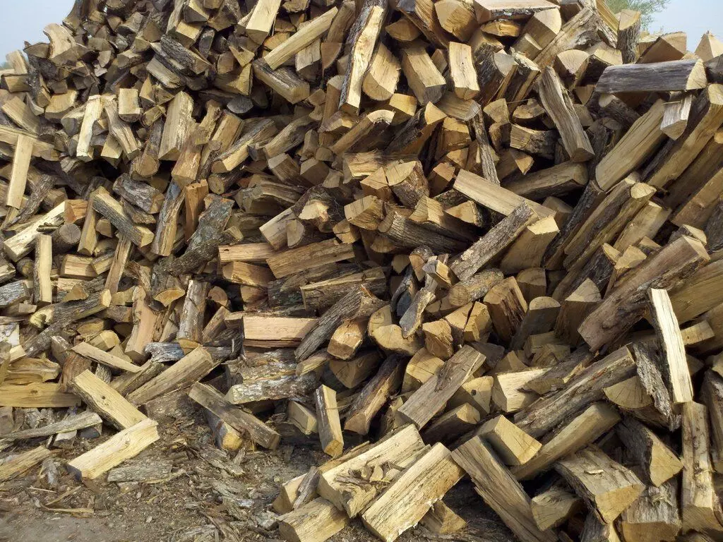 Growing firewood wholesale markets threat to dwindling forest eco-system- Prof. Madu Growing firewood wholesale markets threat to dwindling forest eco-system- Prof. Madu