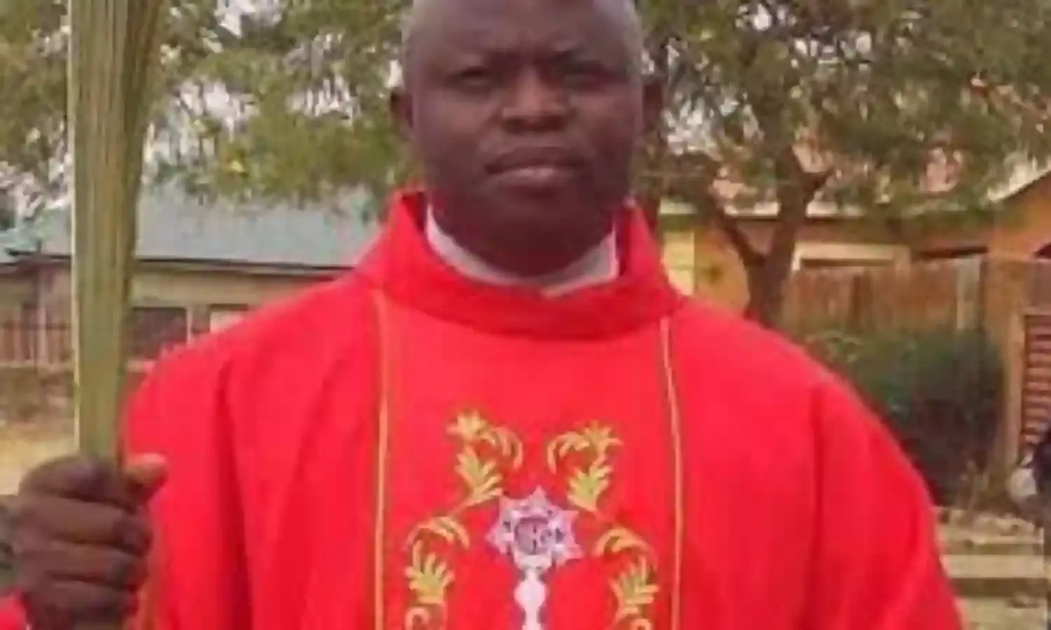Kaduna Catholic jubilates for release of  kidnapped Priest