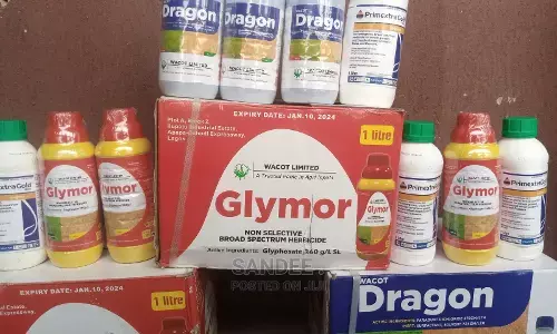 Farmers lament over high cost of farm implement Farmers lament over high cost of farm implement