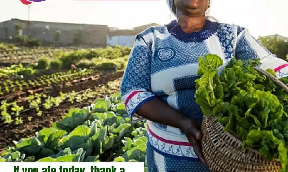 Niger, Tech Coy collaborates on farm produce storage