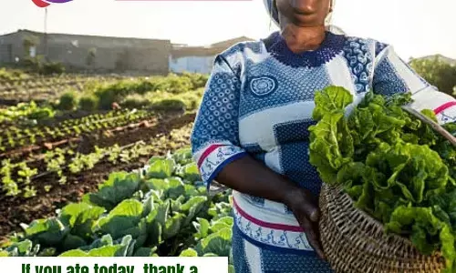 Niger, Tech Coy collaborates on farm produce storage Niger, Tech Coy collaborates on farm produce storage