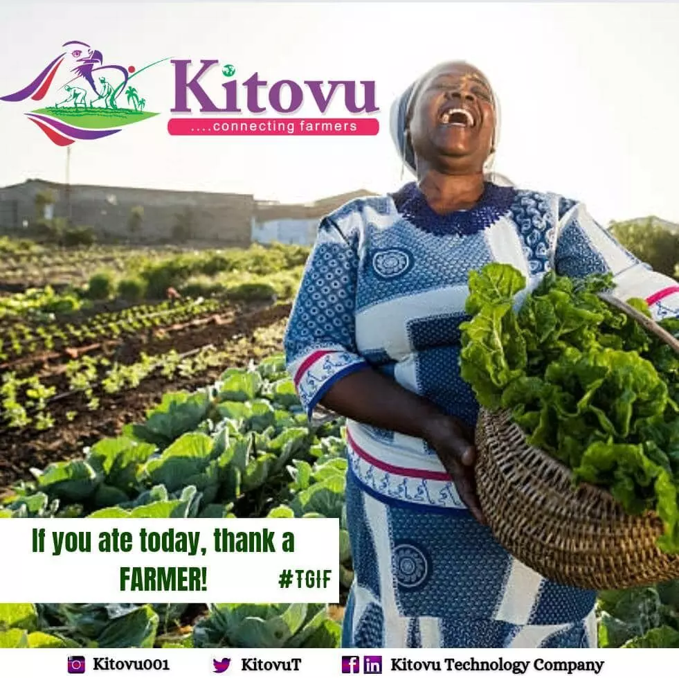 Niger, Tech Coy collaborates on farm produce storage