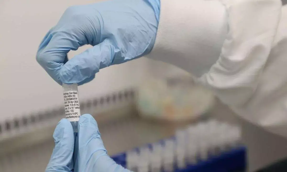 Local vaccine production: Biovaccine urges govt. for funds