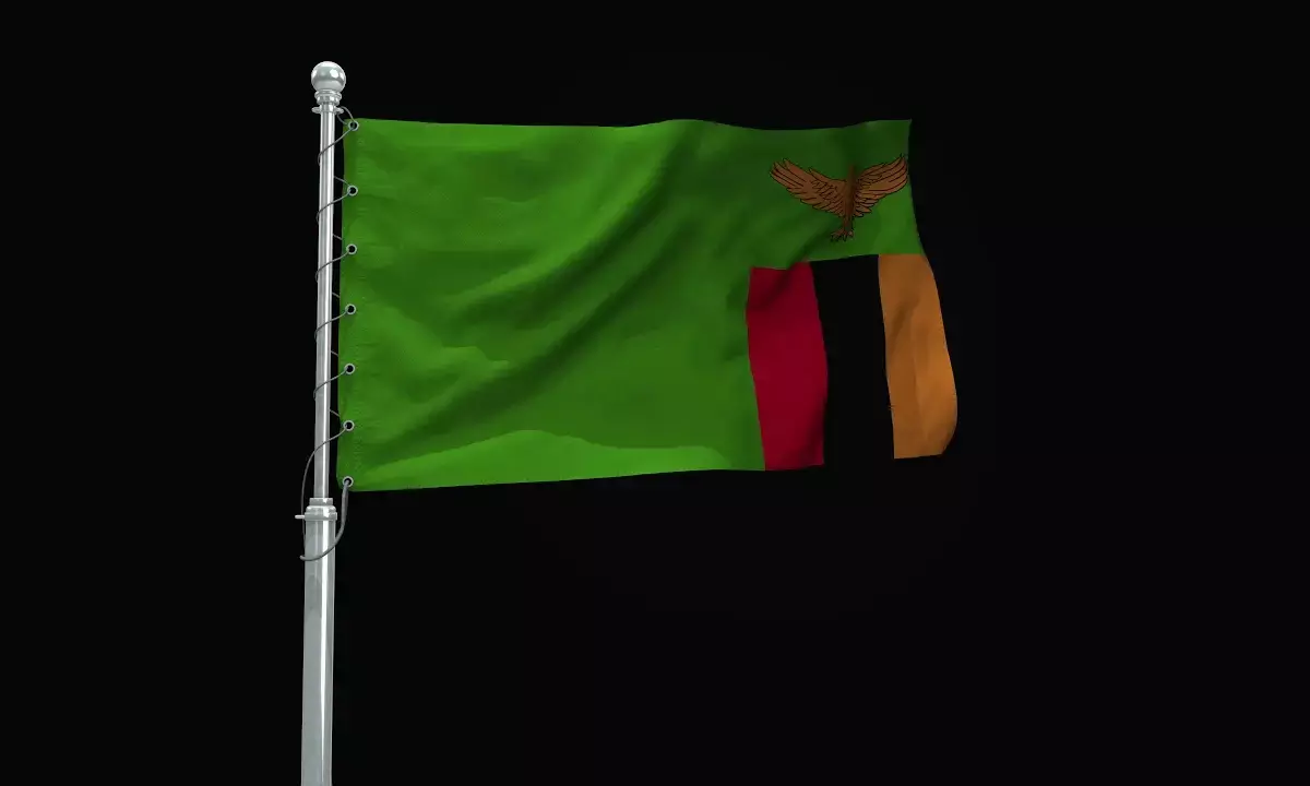 GBV cases decline sharply in Zambia – Police