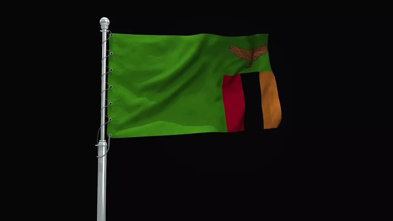 GBV cases decline sharply in Zambia – Police