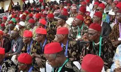2023 Presidency: Igbo inability to agree a set back – Political analyst