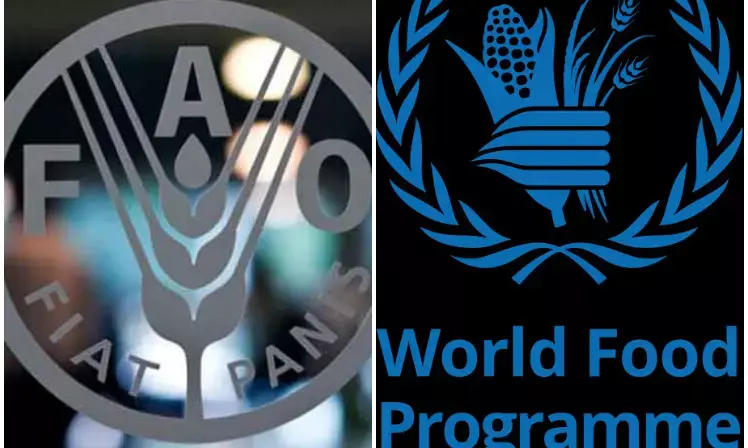 FAO, WFP inaugurate initiative to boost childrens diet