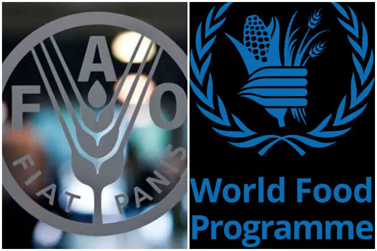 FAO, WFP inaugurate initiative to boost childrens diet