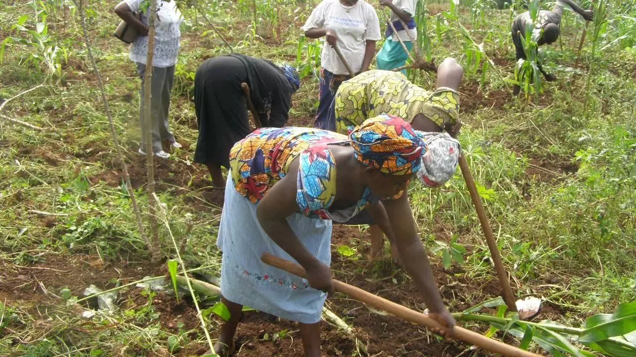 Agric ministry trains women farmers on climate adaptation strategies
