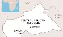 CAR long-awaited elections will expand political space- UN envoy