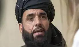 Terrorist taliban appoint new chief of political office in Qatar