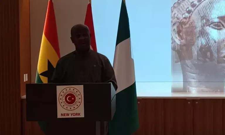 U.S. lauds contributions of African Americans to development