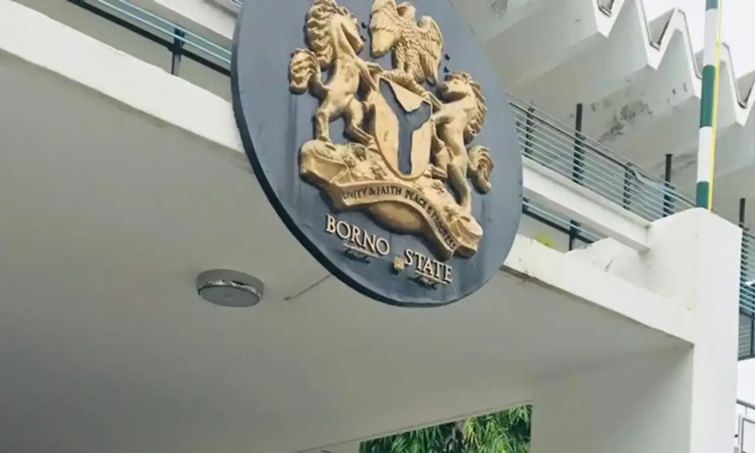 Insurgents surrender through non-kinetic operations in Borno