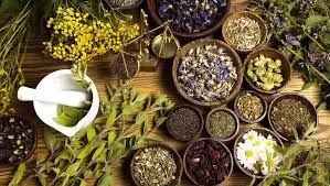 Avoid excessive intake of local herbs, Nephrologist warns Nigerians