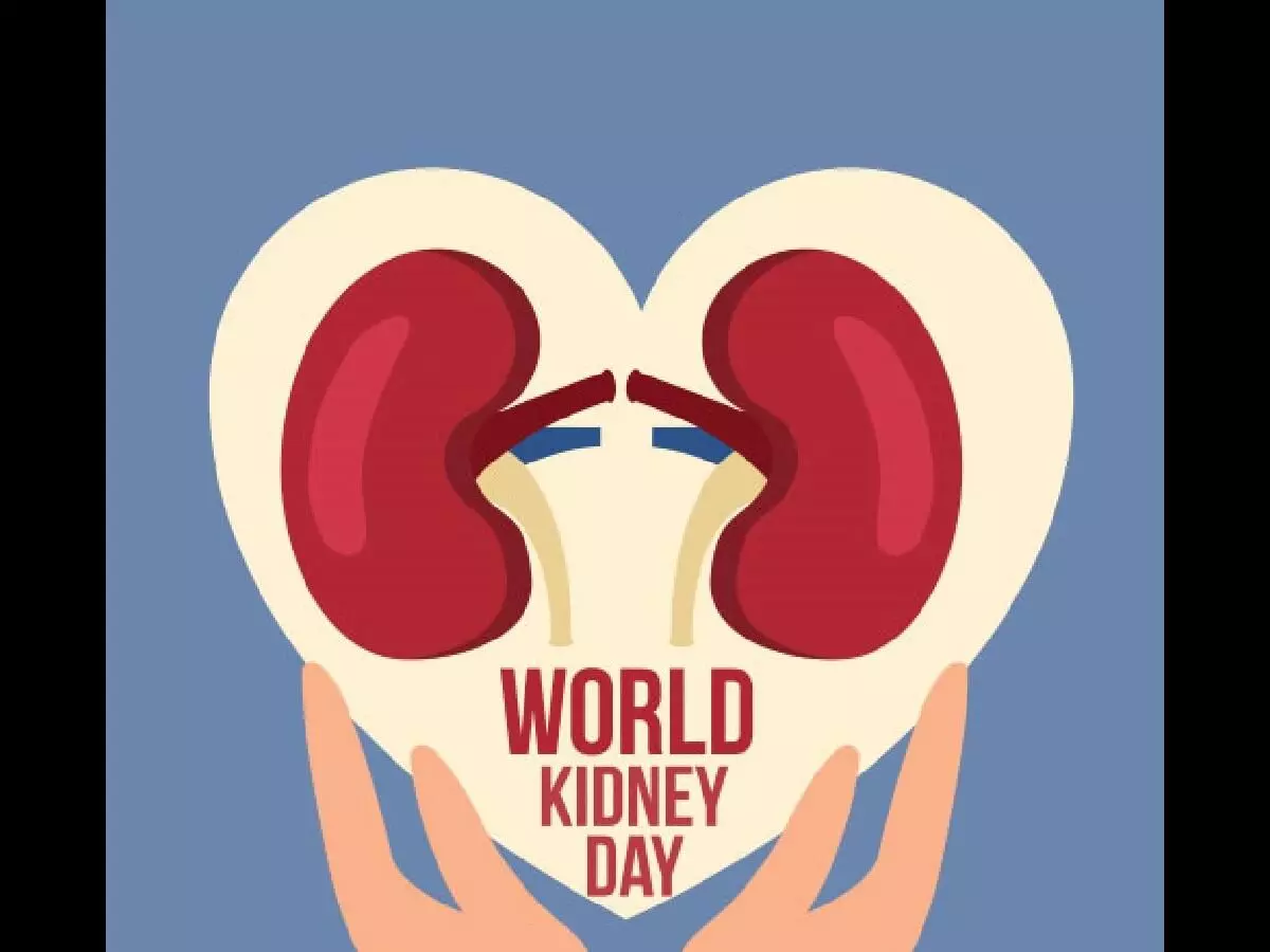 World Kidney Day: Healthy lifestyle, vitality of early access to care World Kidney Day: Healthy lifestyle, vitality of early access to care