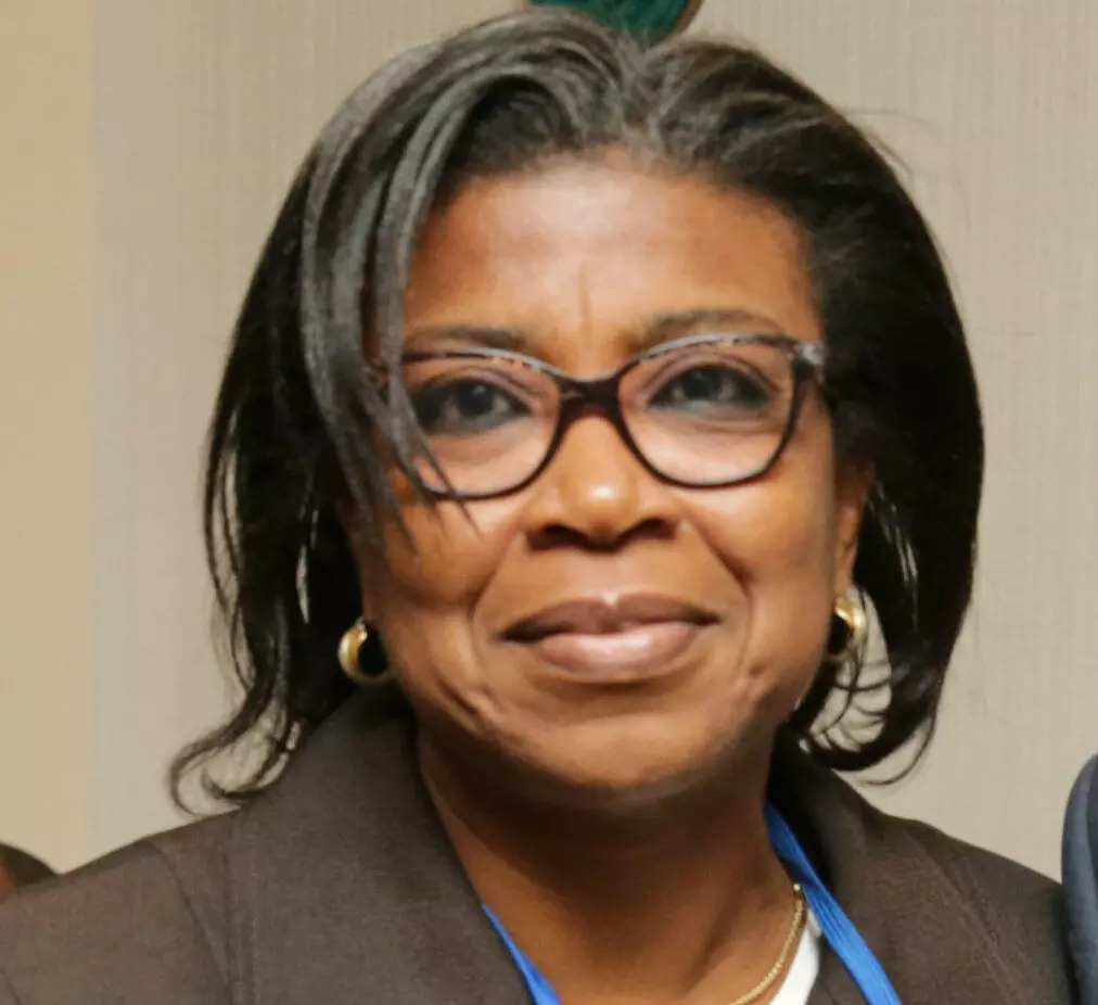 FG borrowing not bad if used to finance infrastructure – DMO DG