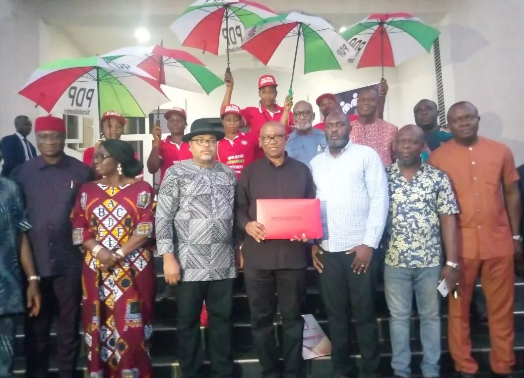 Pressure group gets PDP presidential nomination form for Peter Obi