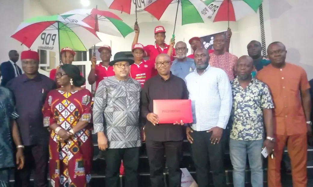 Pressure group gets PDP presidential nomination form for Peter Obi