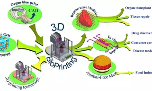 Researchers print 3D cardiac tissue capable of sustaining pulses