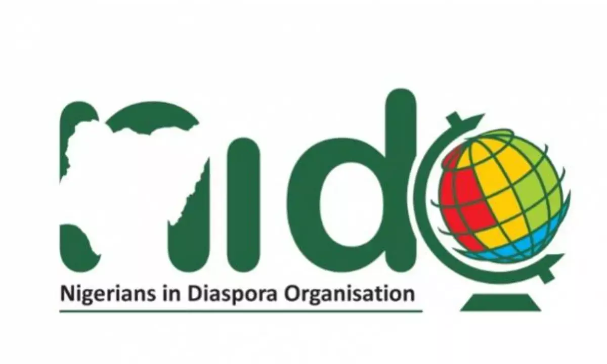 Nigerians in diaspora frown at bill against diaspora voting