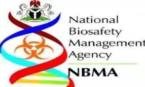 Nigeria sets standard for Africa in GMOs regulation, says NBMAs DG