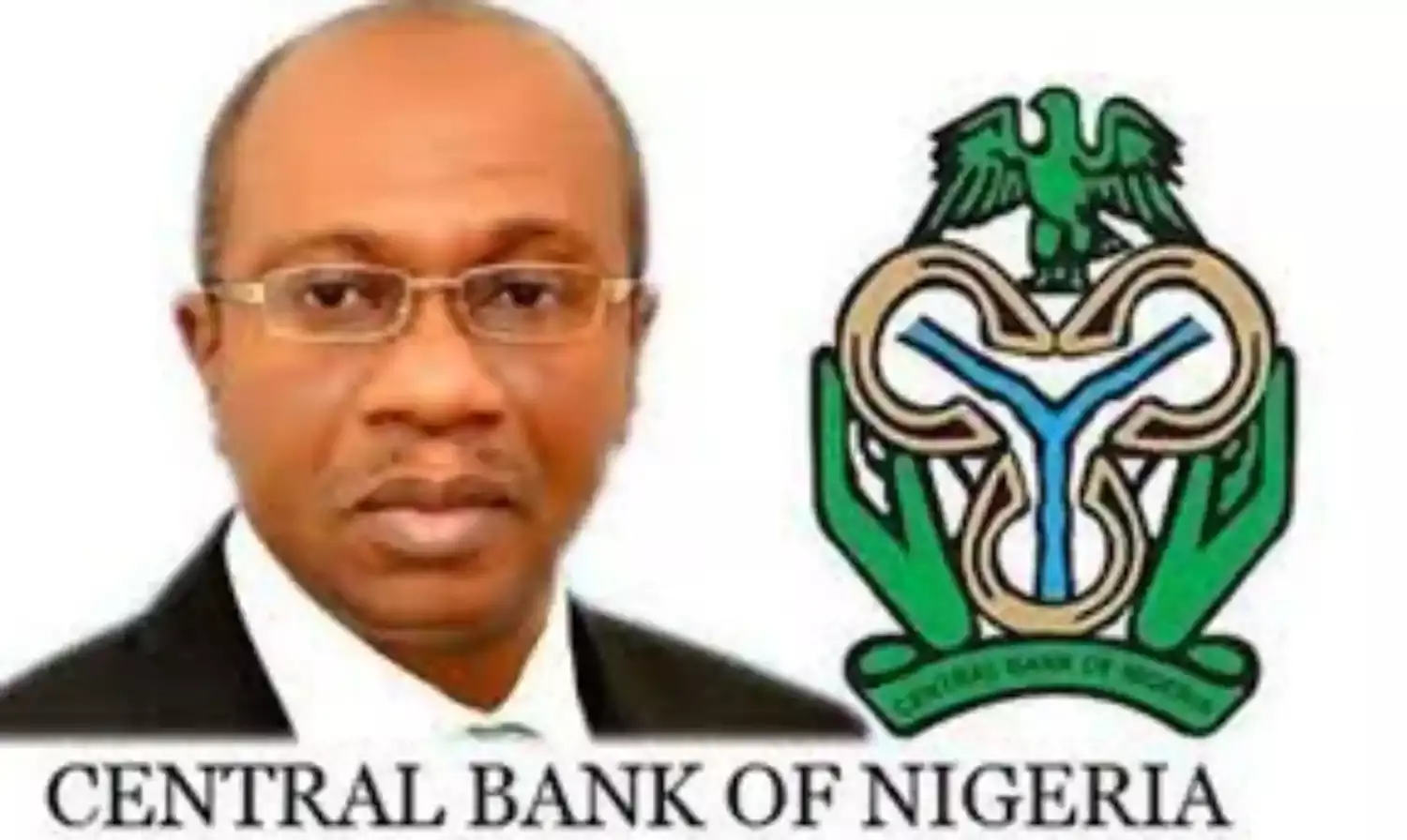 Emefiele has not indicated for position of president – Group