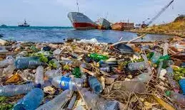 How universities can solve plastic pollution