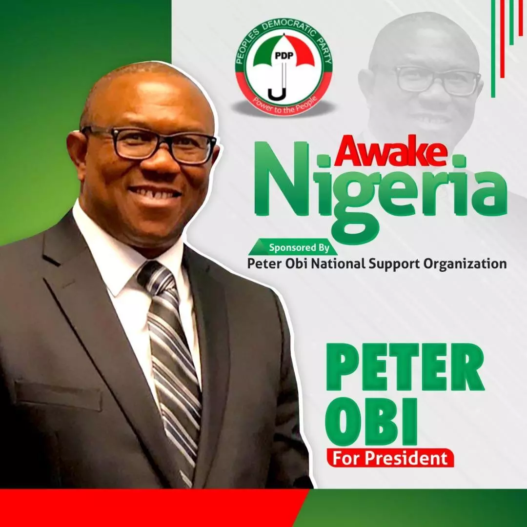 Nigeria needs problem solver as president, says Peter Obi
