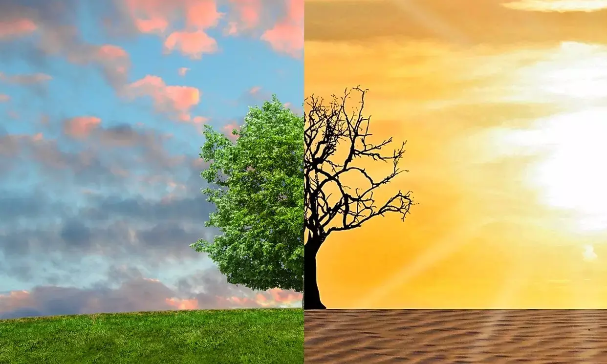 How climate change, environmental degradation affect women