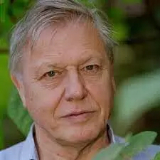 UN awards broadcaster Attenborough Champion of the Earth