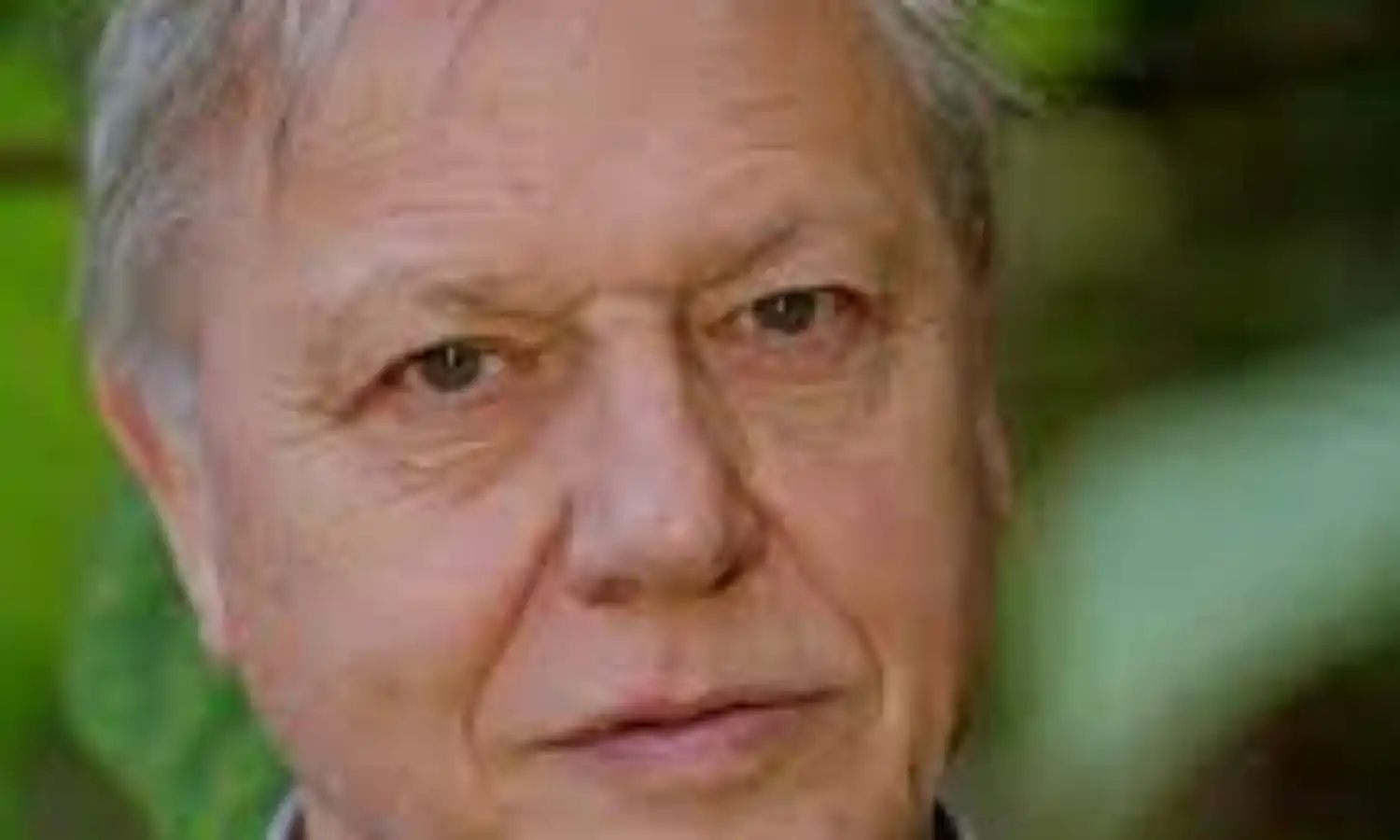 UN awards broadcaster Attenborough Champion of the Earth