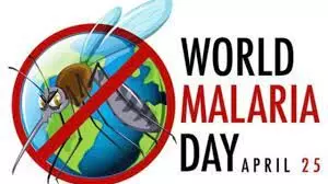 Preventive interventions key to end malaria, says Medical practitioner Preventive interventions key to end malaria, says Medical practitioner