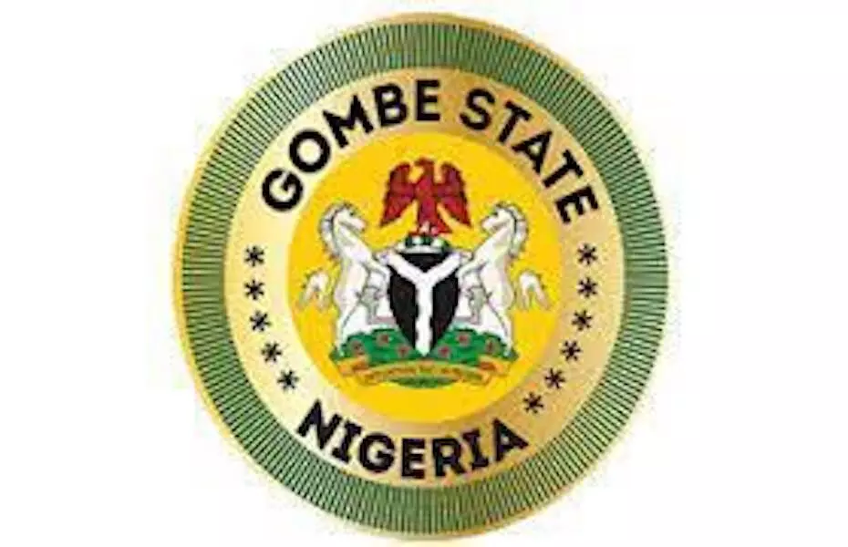 Contributory Healthcare: Enhancing healthcare delivery in Gombe State