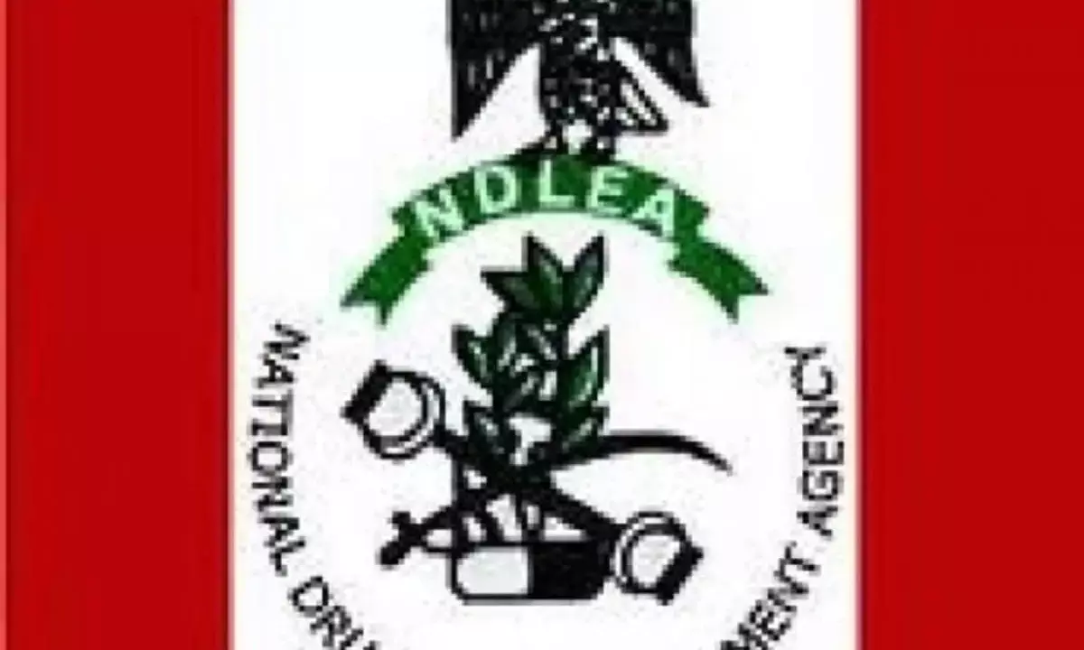NDLEA reveals N22b worth of imported Tramadol