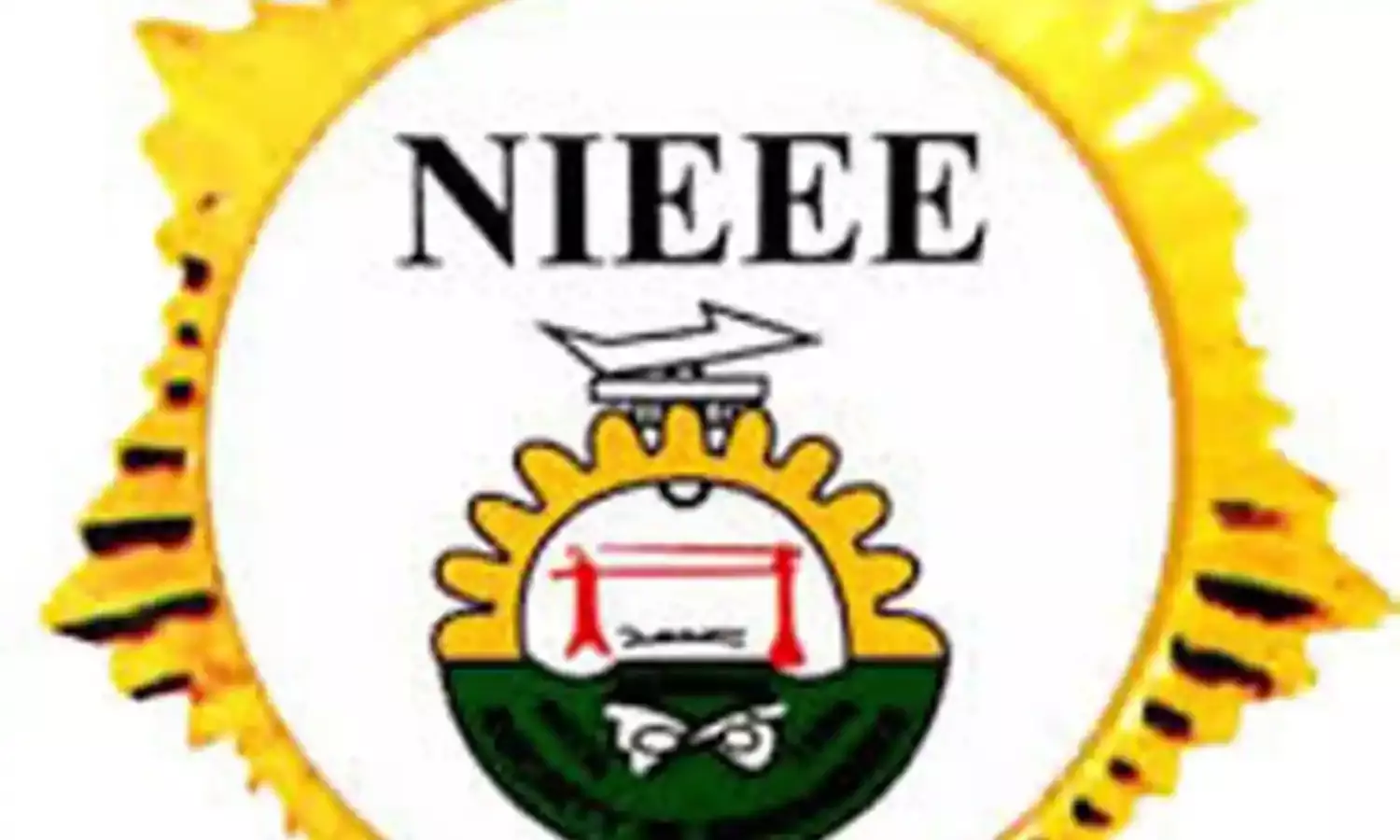 How Nigeria can sustain electric power supply - NIEEE