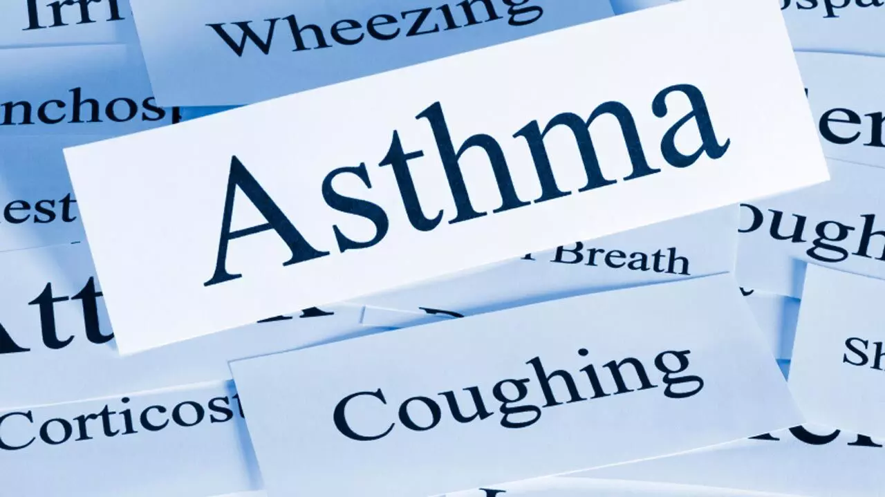 Foundation tasks stakeholders on asthma treatment Foundation tasks stakeholders on asthma treatment