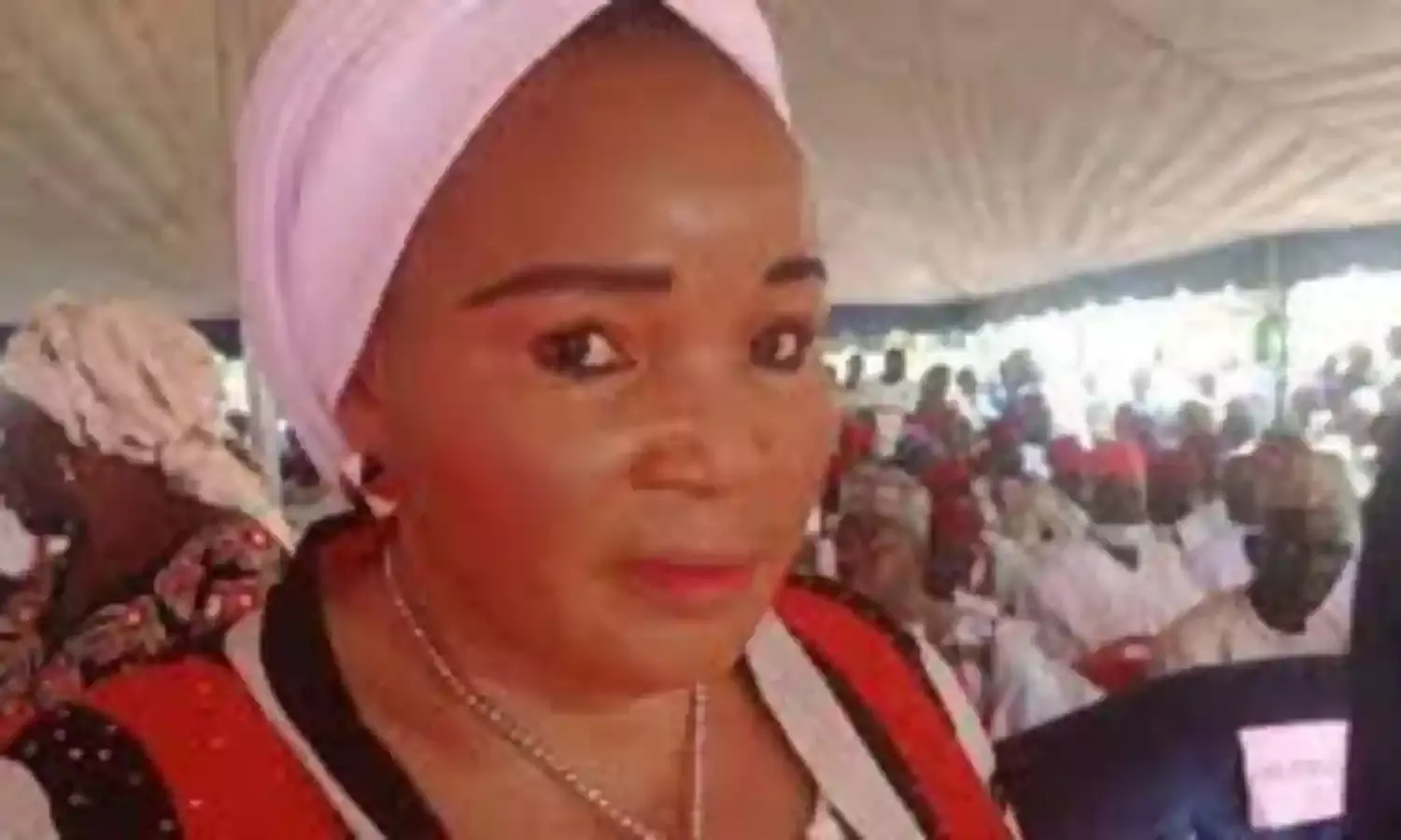 2023: More women lawmakers will strengthens democracy, says Ex-lawmaker