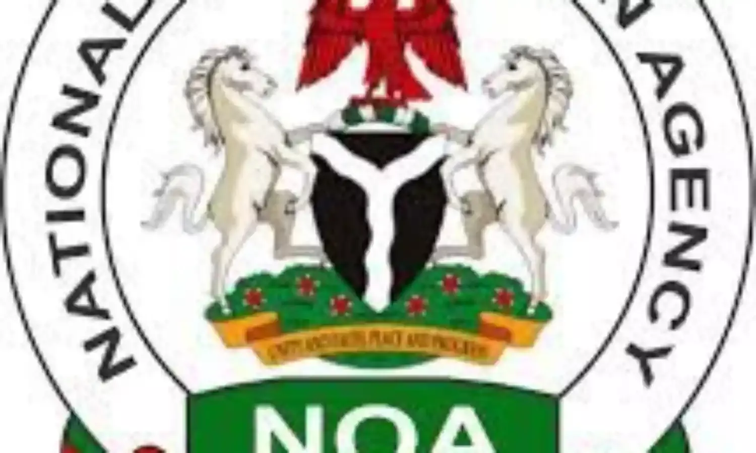 Increase patronage of locally-made products, NOA charges Nigerians