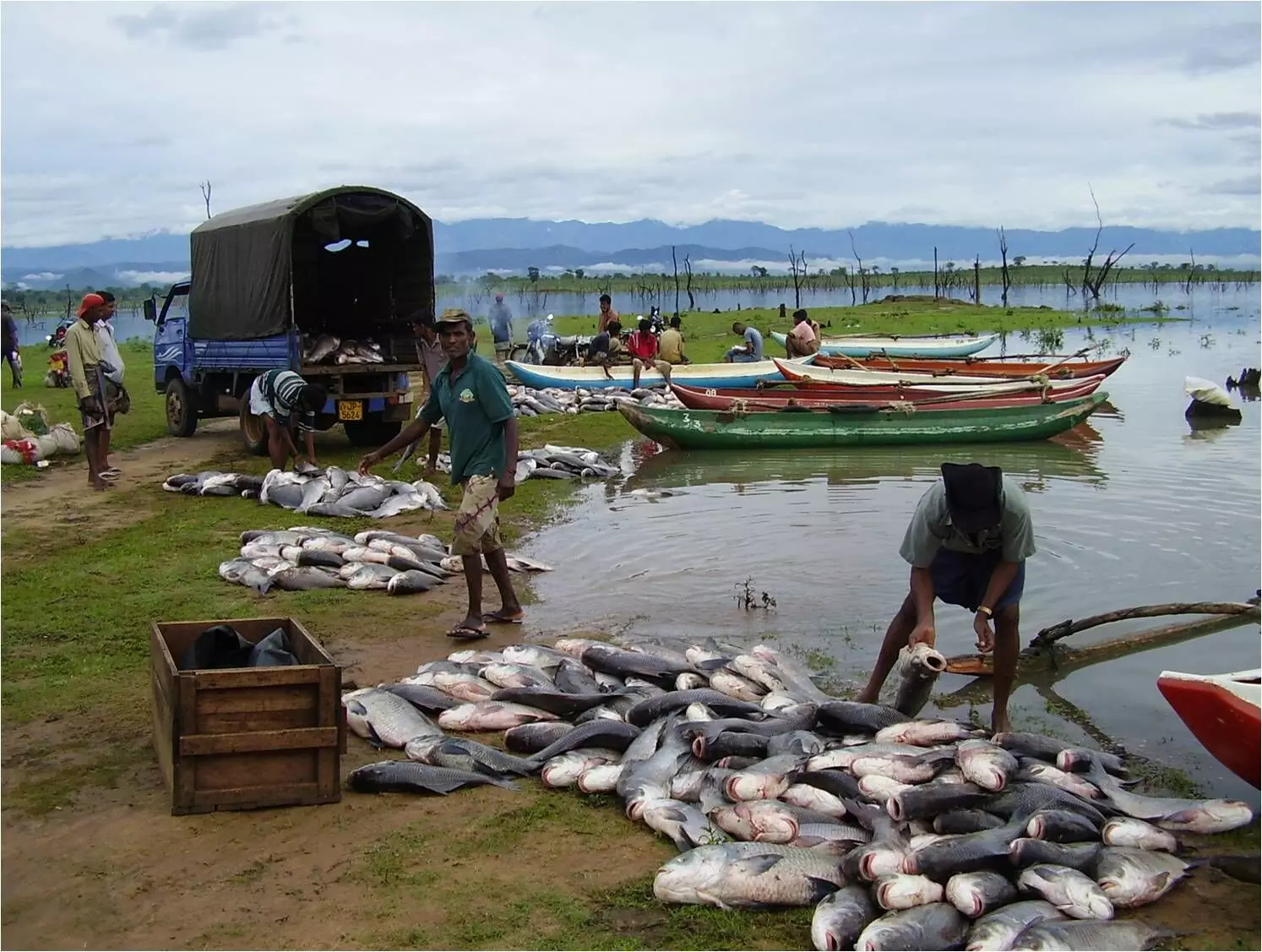 Stakeholders call for certification of fishery imports/exports