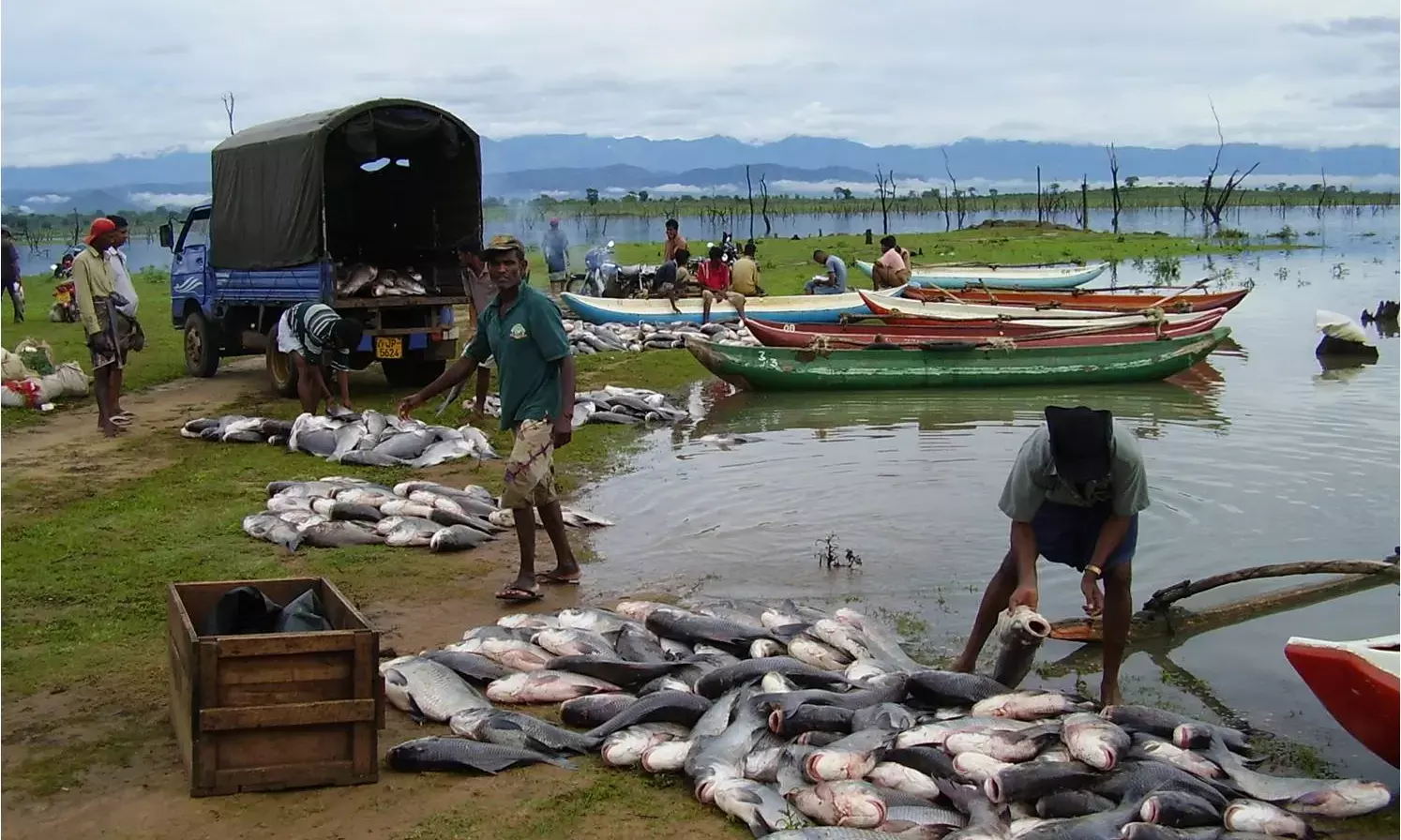 Stakeholders call for certification of fishery imports/exports