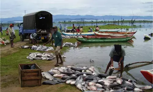 Stakeholders call for certification of fishery imports/exports