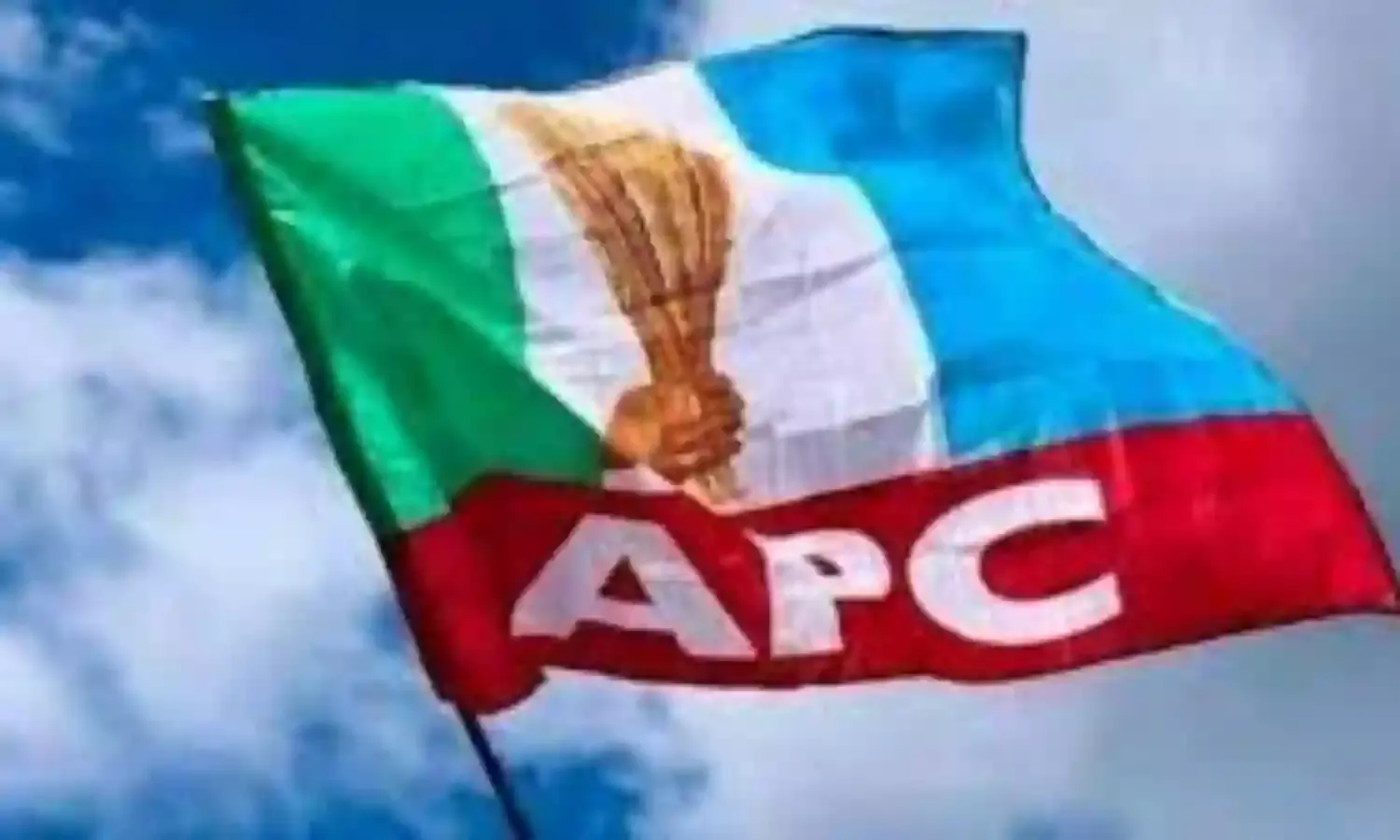 No female APC aspirants jostle for 30 Jigawa Assembly seats