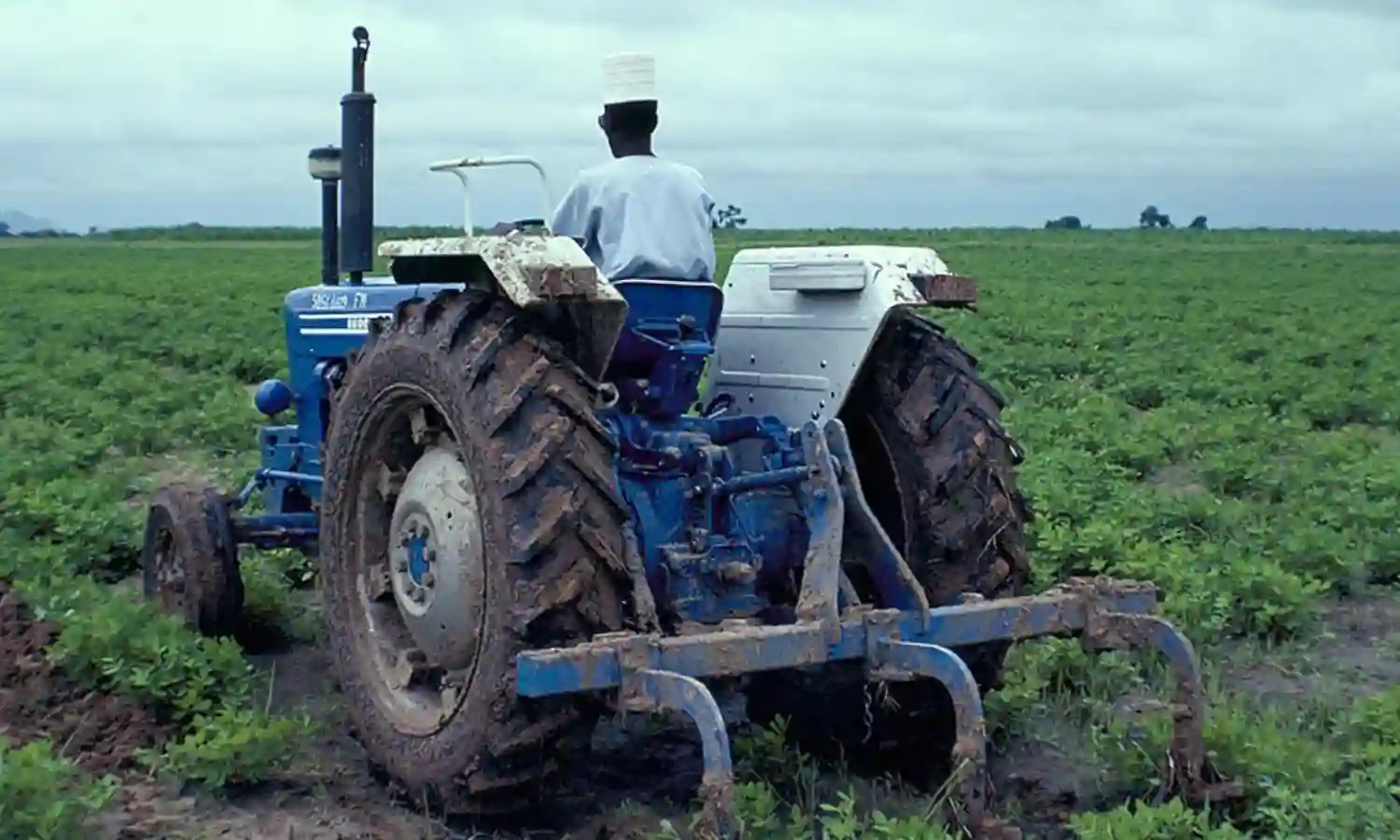 99-year-old farmer tasks FG to increase mechanised farming