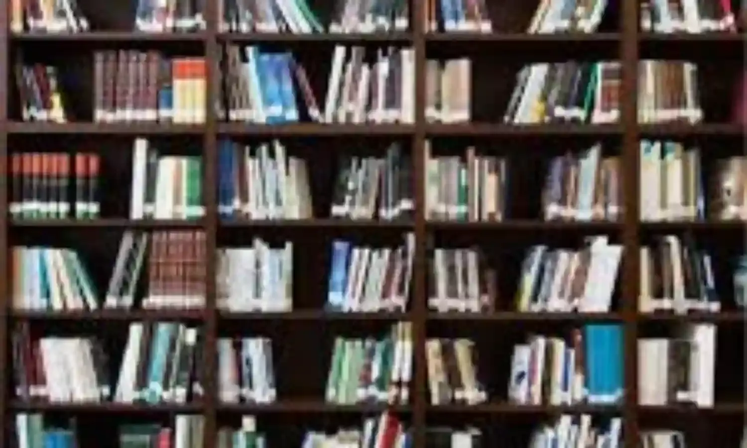 Teen author of 5 books lament over poor reading culture